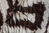 Vintage Moroccan Area Rug (4' x 8')